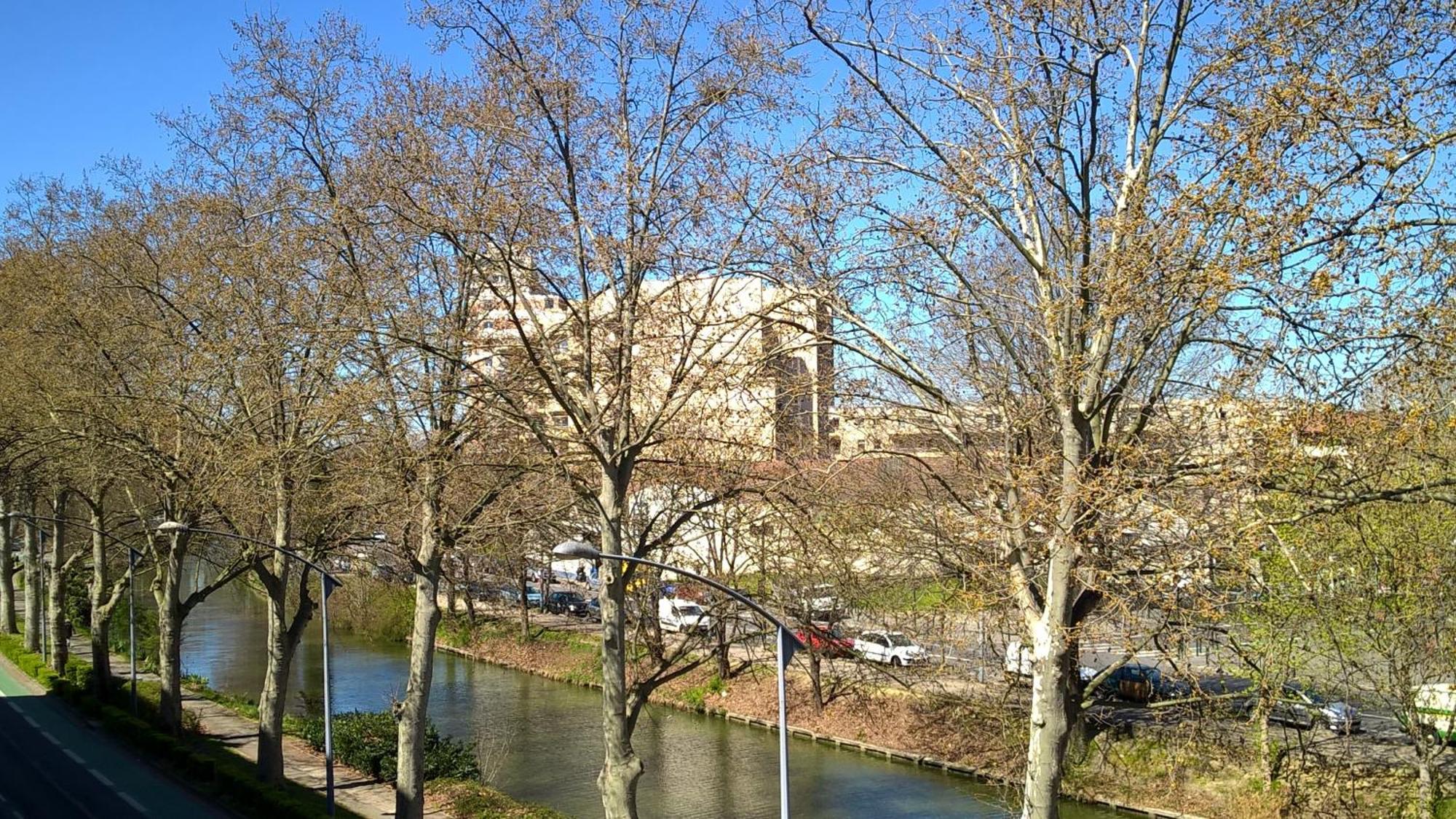 Appartement Matabiau Toulouse Ngoại thất bức ảnh