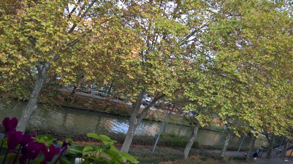 Appartement Matabiau Toulouse Ngoại thất bức ảnh